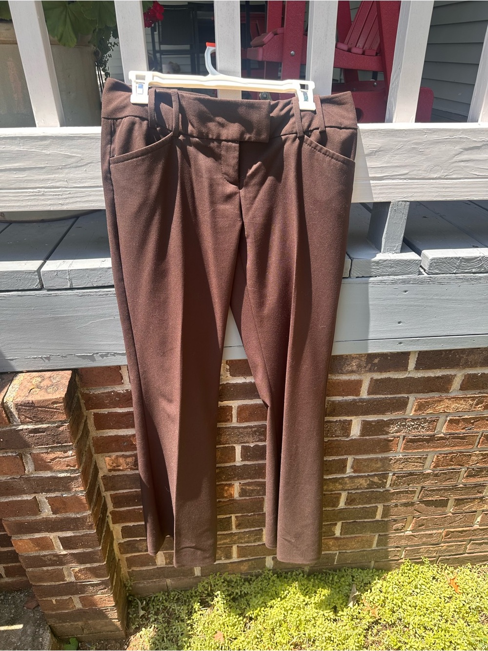The Limited pants